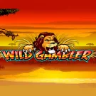 Wild Gambler Slot