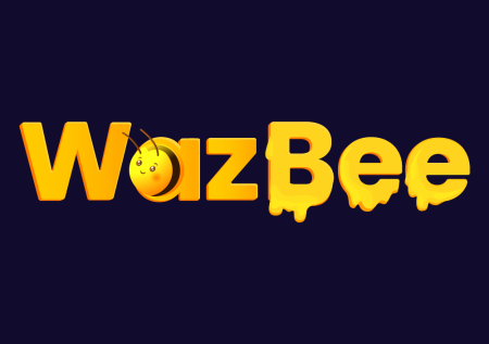 WazBee