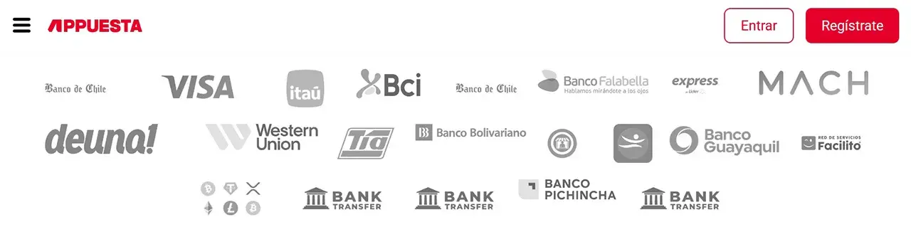 Appuesta Métodos de Pago Appuesta Métodos de Pago