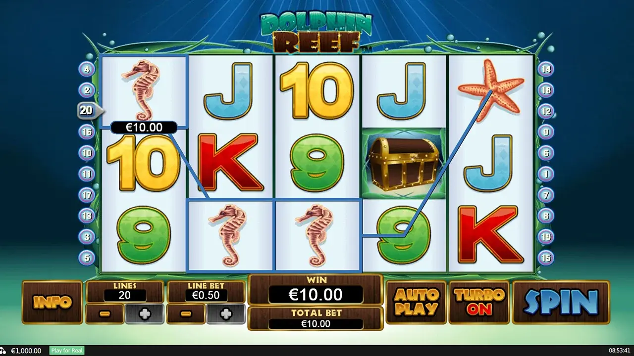 Dolphin Reef Ganancia